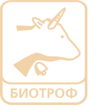 About Image
