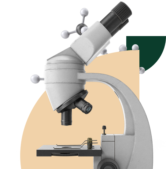 About Image