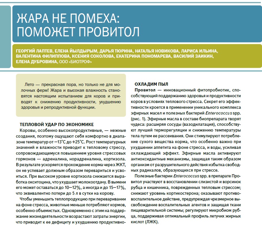 ЖАРА НЕ ПОМЕХА: ПОМОЖЕТ ПРОВИТОЛ