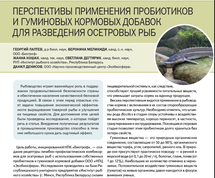ПЕРСПЕКТИВЫ ПРИМЕНЕНИЯ ПРОБИОТИКОВ И ГУМИНОВЫХ КОРМОВЫХ ДОБАВОК ДЛЯ РАЗВЕДЕНИЯ ОСЕТРОВЫХ РЫБ