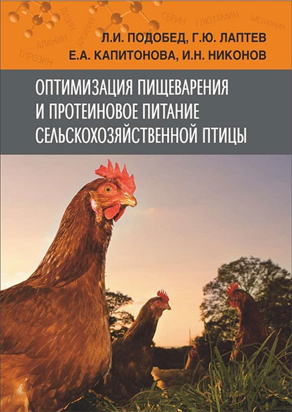 Оптимизация пищеварения и протеиновое питание сельскохозяйственной птицы