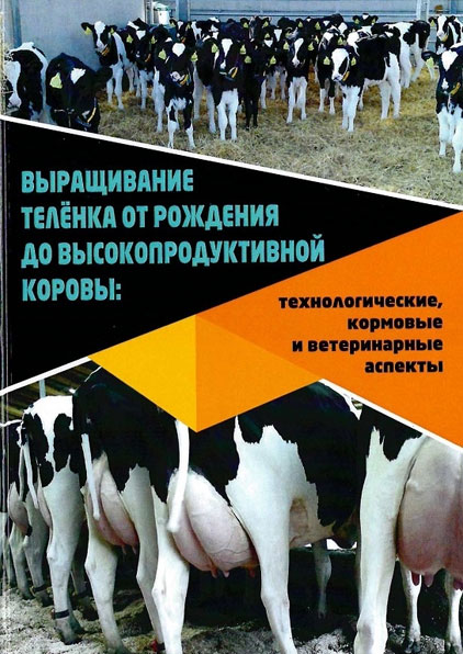 Выращивание теленка от рождения до высокопродуктивной коровы