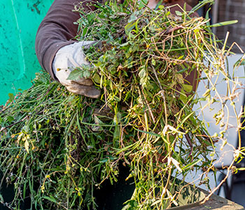 силос-pic1.jpg